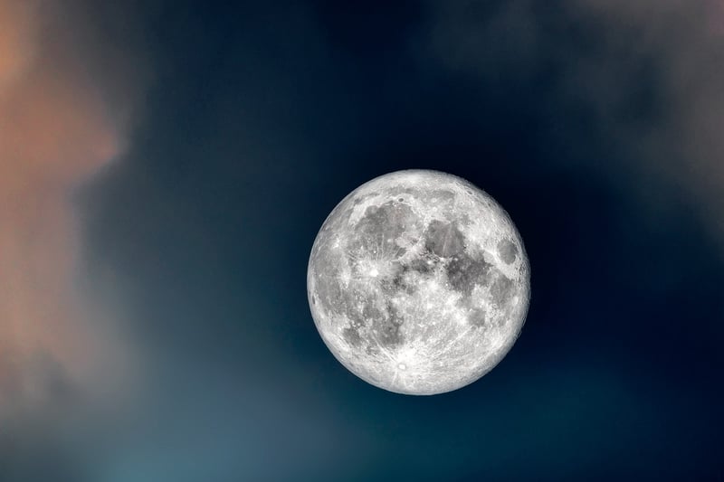 Moonlit Gown
